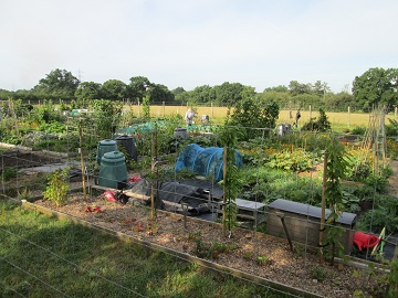 allotments Gullivers Farm