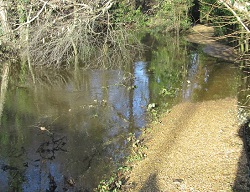 Uddens path flooded