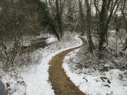 Riverside walk after snow