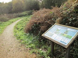 Riverside Walk notice board and pathway