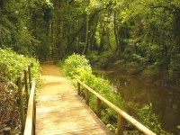 Bridge on Woolslope Fm pathway