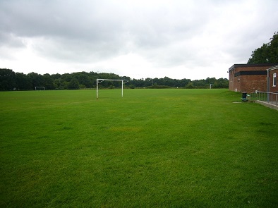 Football Pitch Fryer Field