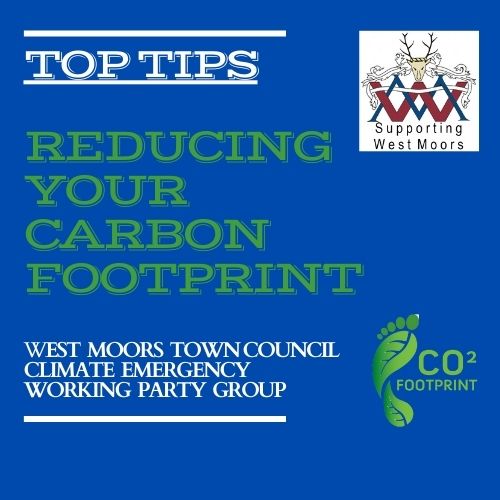  JANUARY 2022 Carbon Cuts Tips