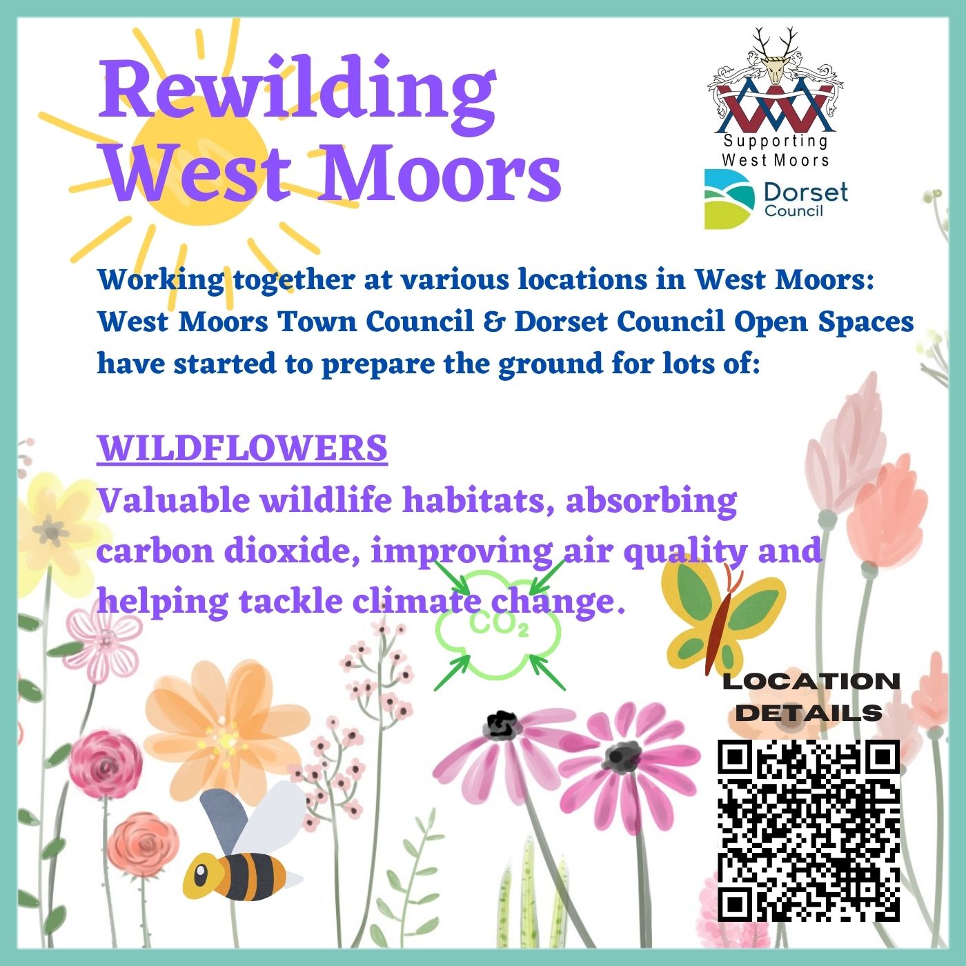 Rewilding West Moors