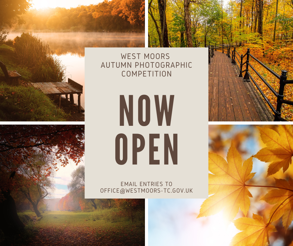 Photography Competition Open!