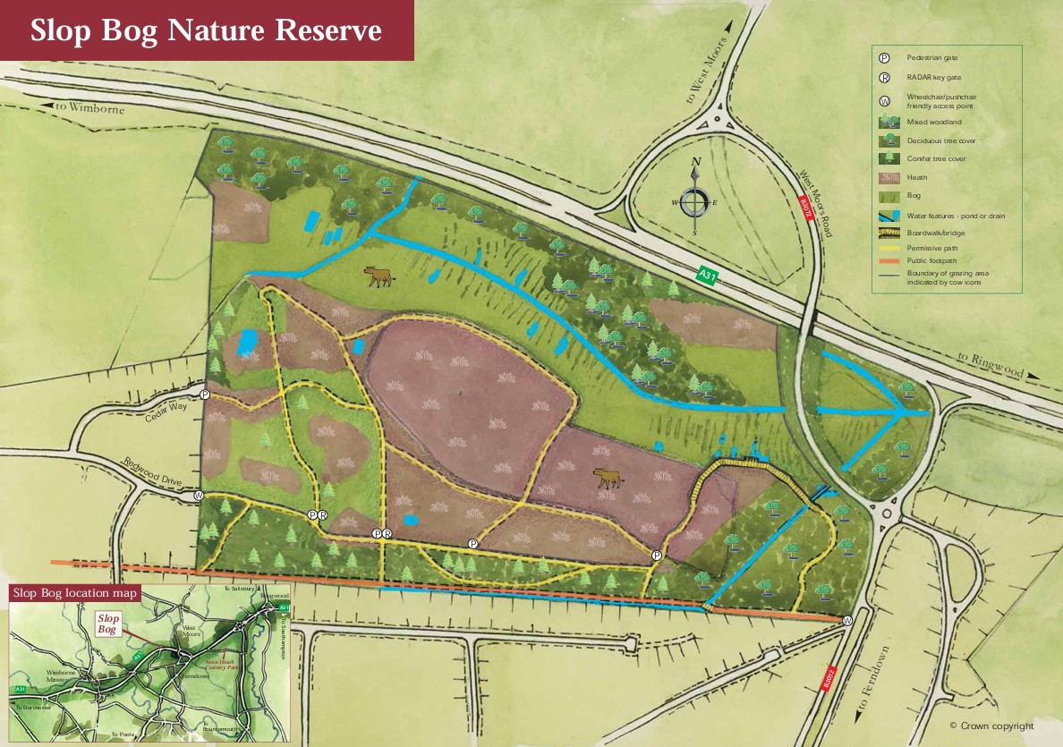 Habitat Restoration in Slop Bog Nature Reserve