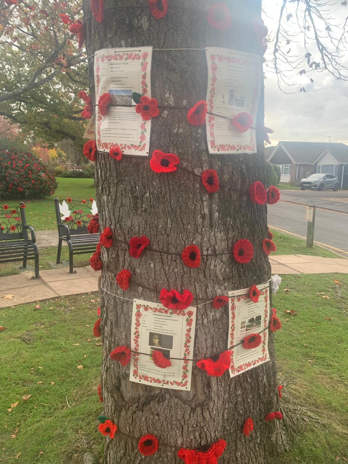 Poppies on the Petwyn