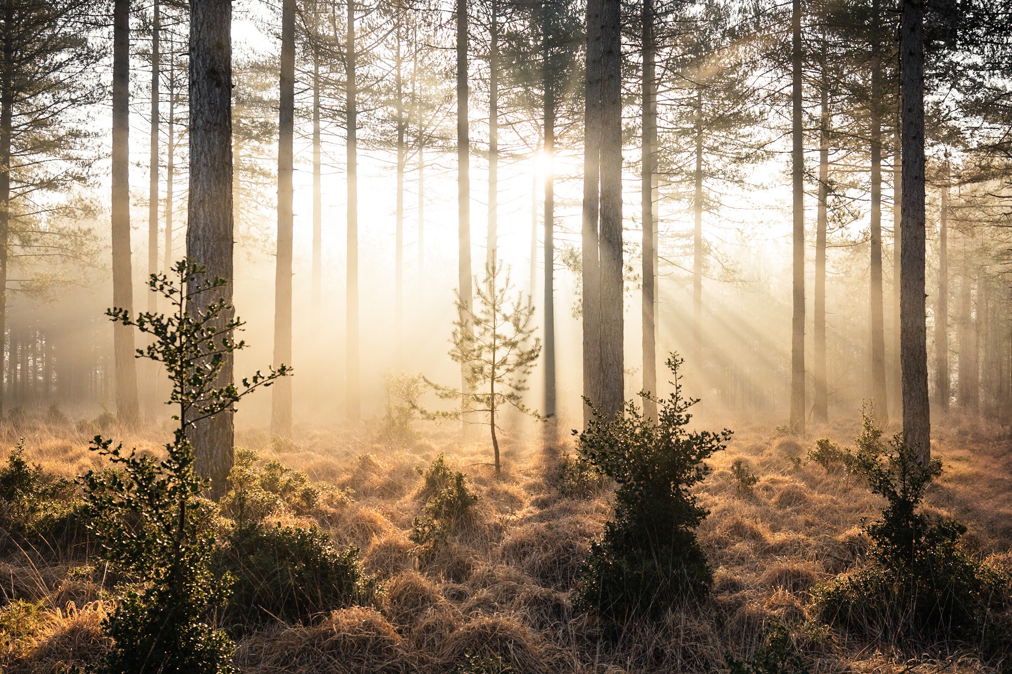 Autumn Photography Winners