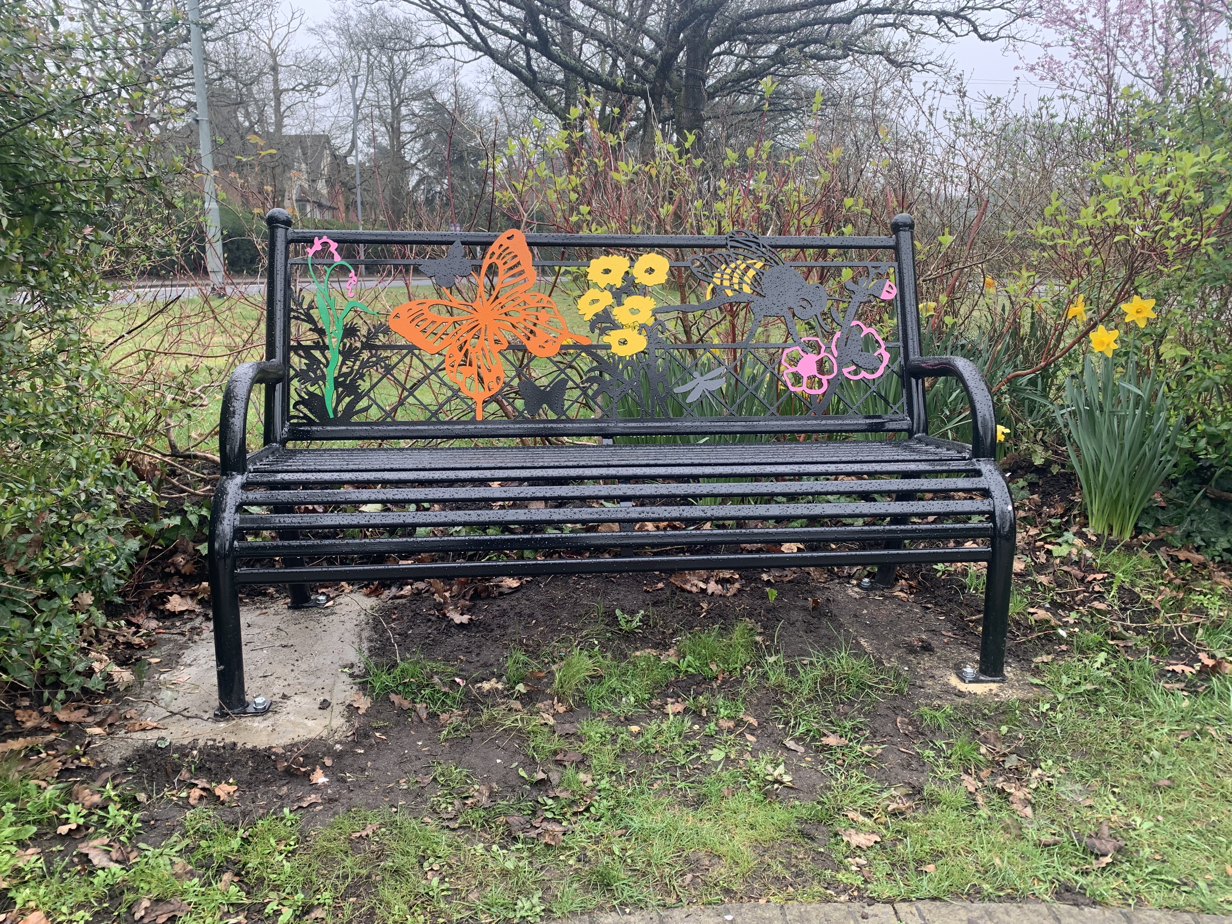 New Benches on the Petwyn