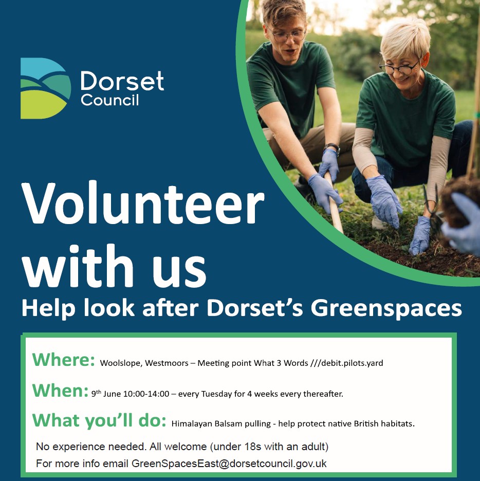 Greenspace Volunteers Needed